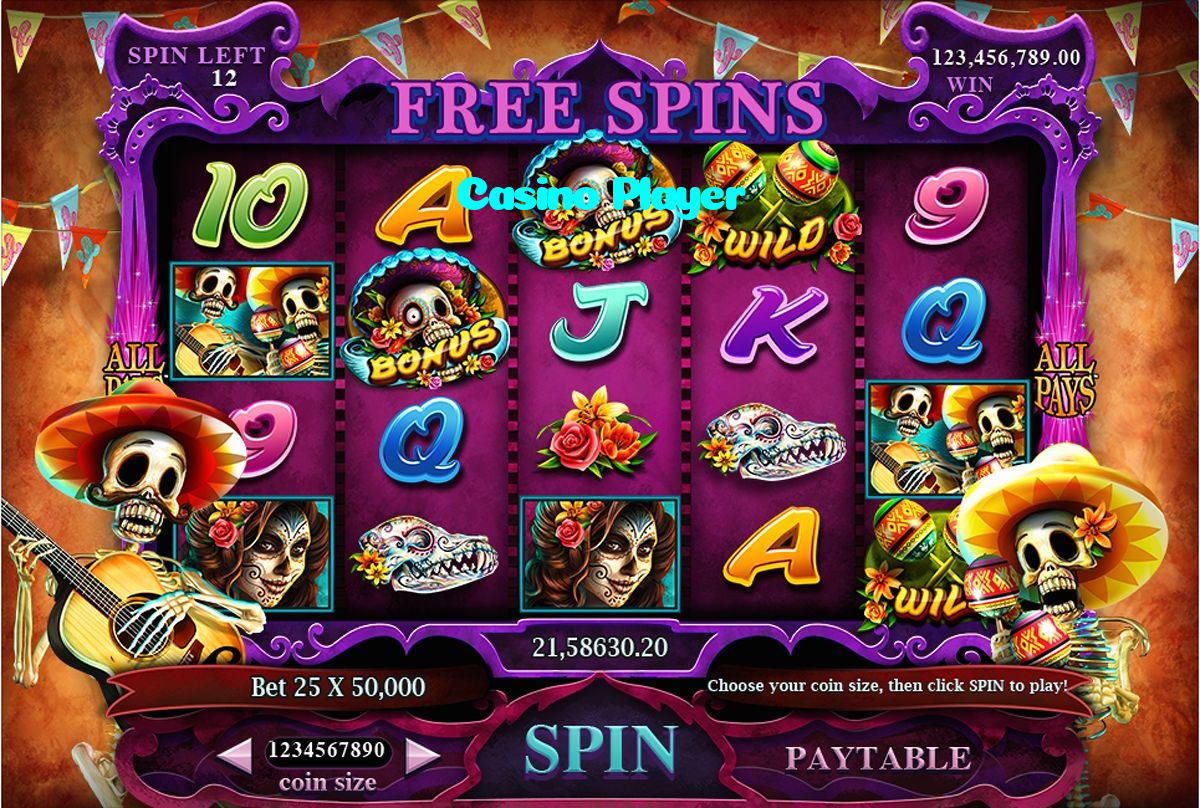 Casino Player